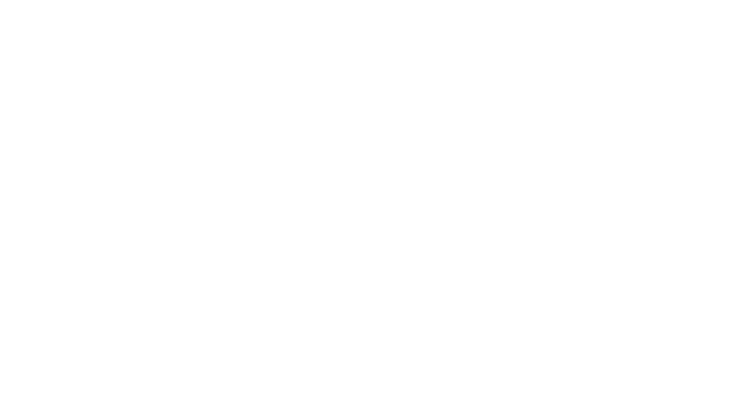 Pinnacle Distributors Inc.